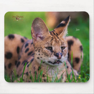 Jax Mousepad