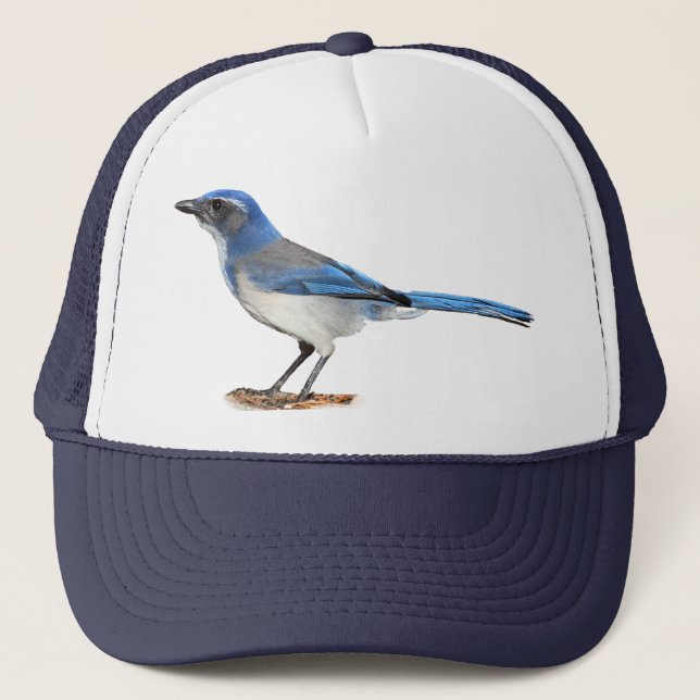 JAY 2 TRUCKERKAPPE (Vorderseite)