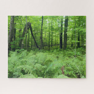 Jay Cooke Staat Park Ferns und Forest Puzzle