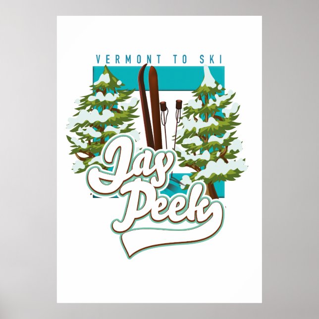 Jay Flüchtige Blick Vermont Skigobild Poster (Vorne)