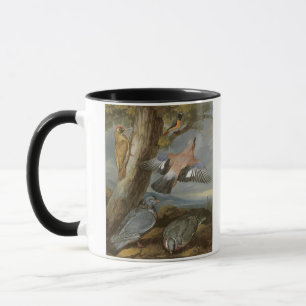 Jay, grüner Specht, Tauben und Redstart, c.165 Tasse