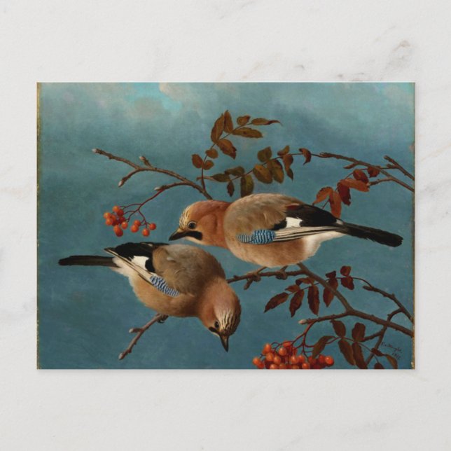 Jay - Zwei Vögel in einem Baum Postkarte (Vorderseite)