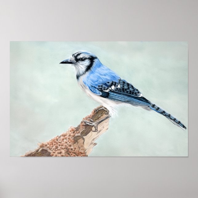 Jays von Jane Poster (Vorne)