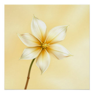 jazmine flower poster