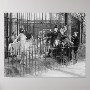 Jazzband im Zoo, 1925. Vintages Foto Poster