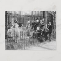 Jazzband, unterhält Polarbären, 1925