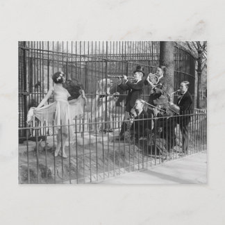 Jazzband, unterhält Polarbären, 1925 Postkarte