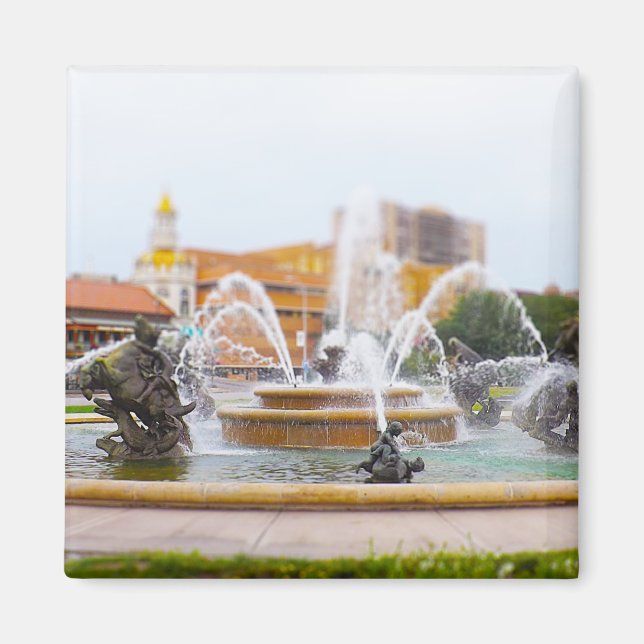 JC Nichols Fossilienmuseum Monte San Giorgio Magnet (Vorne)