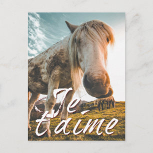 Je taime avec regardé cheva feiertagspostkarte