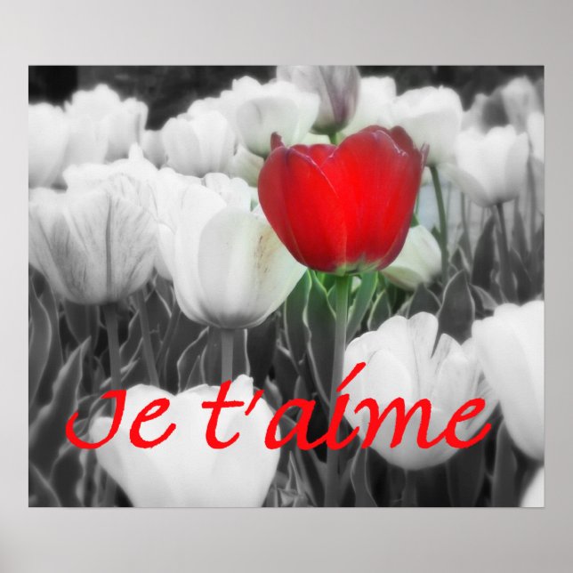 Je taime Red Tulip Print Poster (Vorne)