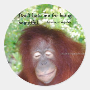 Jealousse: Schöner Rotkopf Runder Aufkleber