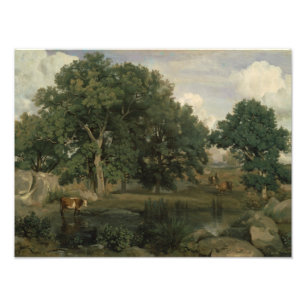 Jean-Baptiste-Camille Corot - Forest Fotodruck