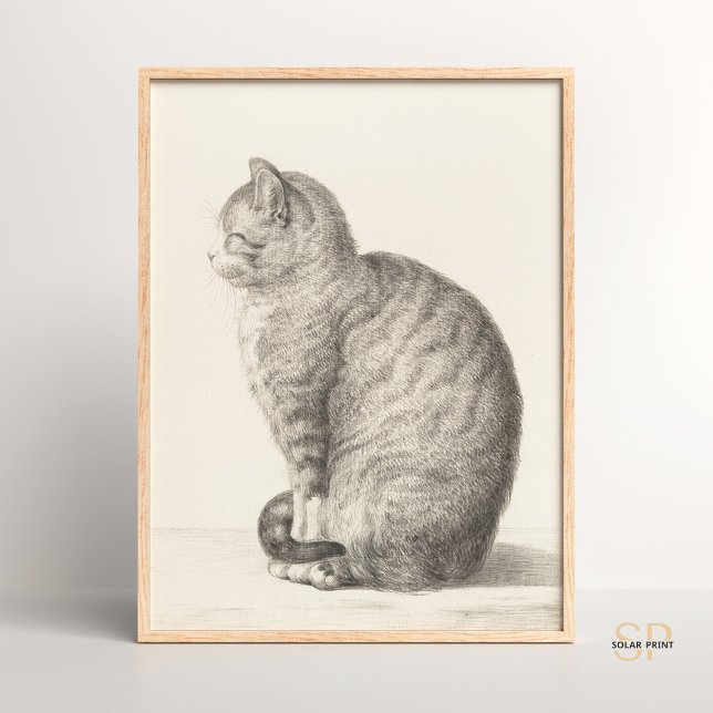 Jean Bernard Sitting Cat Animal Fine Art Artists Poster (Von Creator hochgeladen)