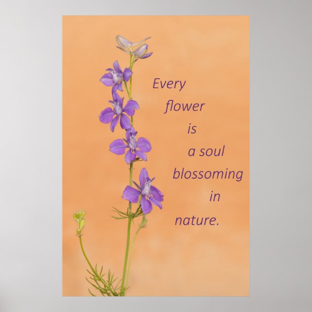 Jede Blume Poster (Vorne)