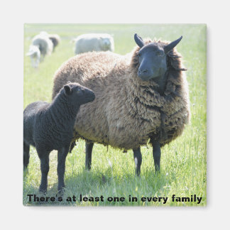 Jede Familie hat einen schwarzen Schafmagnet Magnet