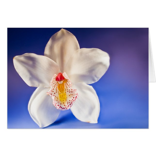 Jede Tageskarte bestellen (Vorderseite (Horizontal))