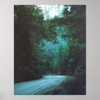 Jedediah Smith Redwoods Staat Park, CA Poster