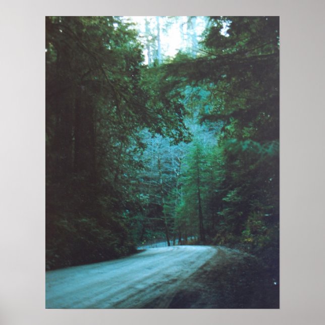 Jedediah Smith Redwoods Staat Park, CA Poster (Vorne)
