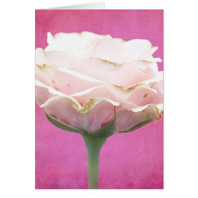 Jedem Anlass-Karte für Rosa Textil (Vorne)