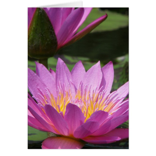 jeden Anlaß (Vorne)