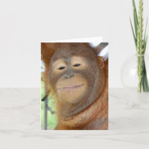 jeden Anlass - Erstellen Sie Ihre eigene Grußkarte Karte