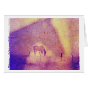 Jeden Anlaß von Pferdträumen