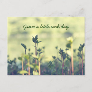 Jeden Tag ein wenig inspirierende Shoots-Grüntöne  Postkarte