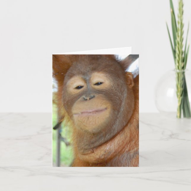 Jeder Anlass - Erstellen Sie Ihre eigene Grußkarte Karte (Vorderseite)