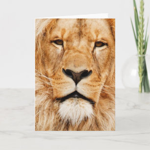 Jeder Anlass, Orange Lion Grußkarte Karte