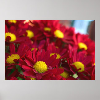 Jeder hat eine Mama Poster