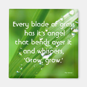 Jeder Schlag Grass Quote Magnet