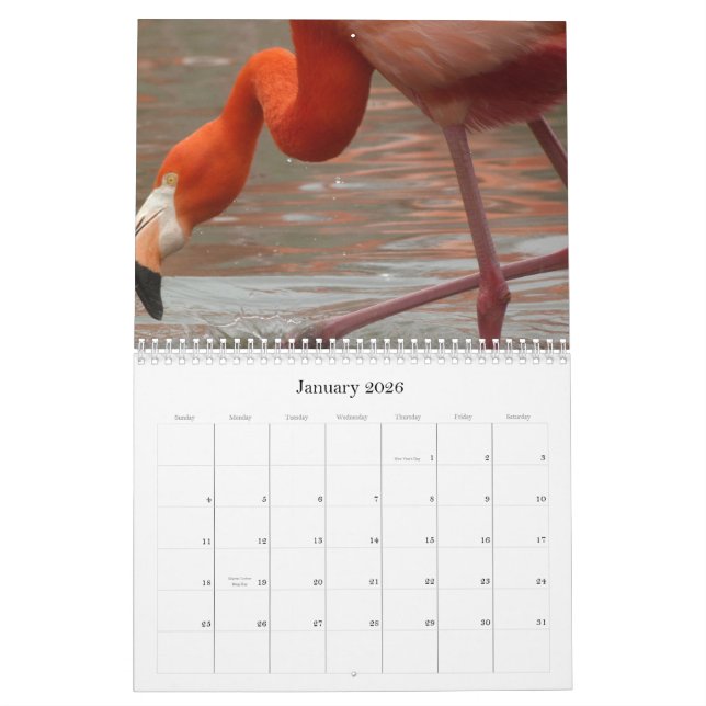 Jeder Tag ist Flamingo Freitag - Kalender (Jan 2026)