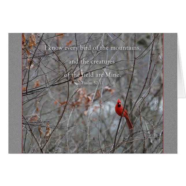 Jeder Vogel des Berges Parakaleo Notizkarte (Vorderseite (Horizontal))