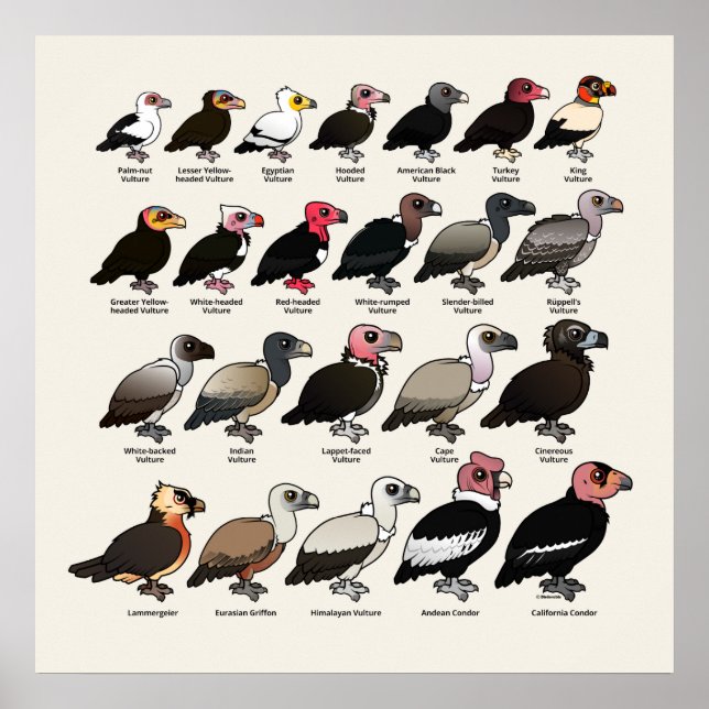 Jeder Wesen Poster (Vorne)