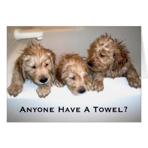 Jedermann haben ein Tuch?