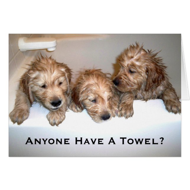 Jedermann haben ein Tuch? (Vorderseite (Horizontal))