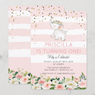 JEDES ALTER - Einladung eines Elefantenmädchens zu