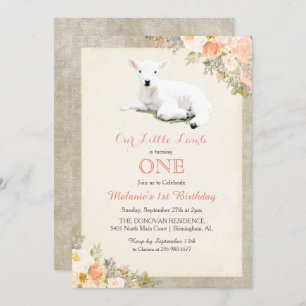 JEDES ALTER - Einladung eines kleinen Lämmers zum 