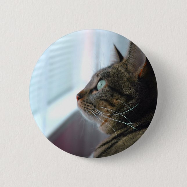 Jedes erwägt die Miezekatze draußen Button (Vorderseite)