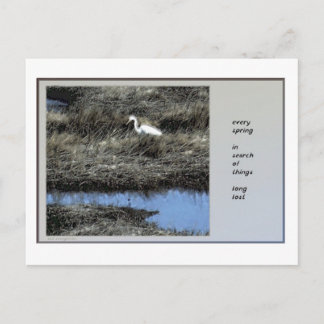 Jedes Frühjahr Haiku Postkarte