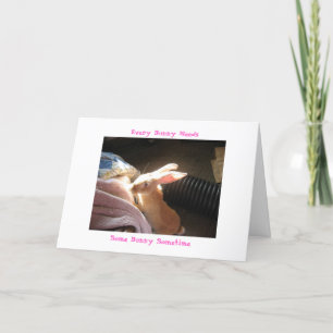 Jedes Häschen braucht, irgendein Häschen einmal Karte