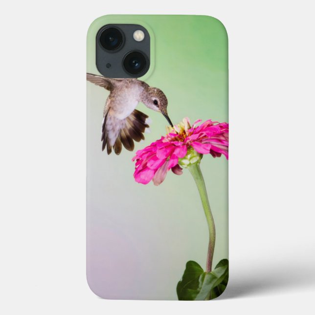 Jeff Davis County, Texas Case-Mate iPhone Hülle (Rückseite)