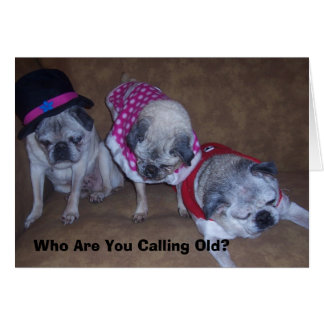 Jeff, Gina, Opa, wer sind Sie...