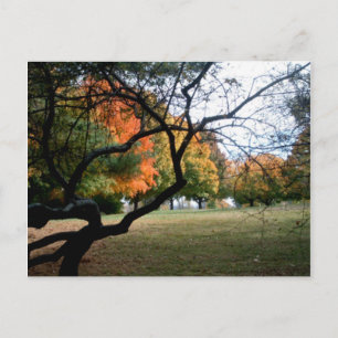 Jefferson Barracks Postkarte