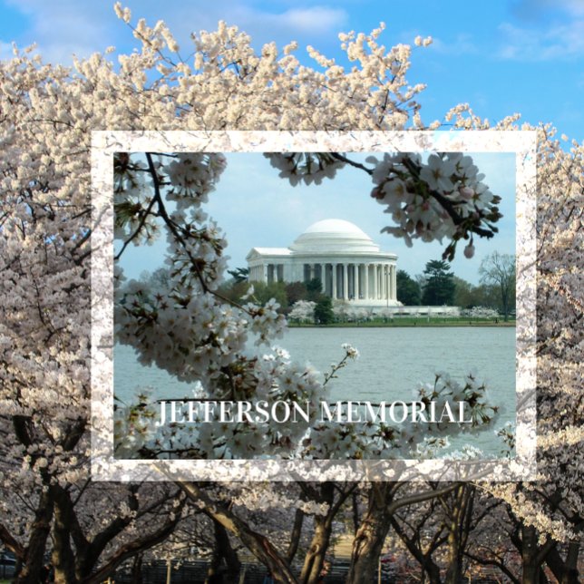 Jefferson Memorial, Kirschblüten, Gezeitenbecken Postkarte (Von Creator hochgeladen)