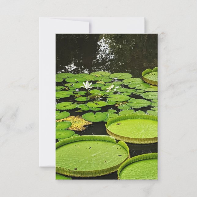 Jegliche Karten (Vorderseite)