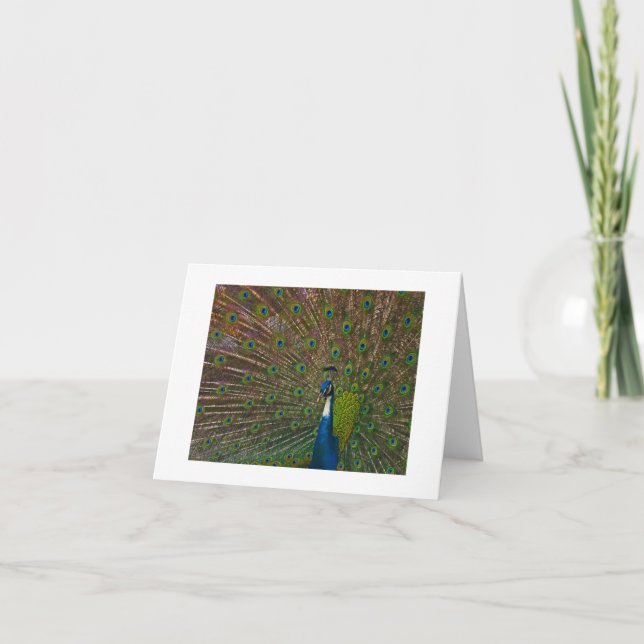 Jegliche Karten (Vorderseite)