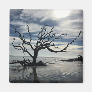 Jekyll - Georgien Magnet