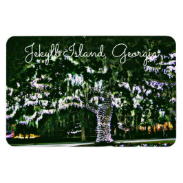 Jekyll Island GA Holiday Lights on Live Oak Tree Magnet
