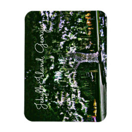 Jekyll Island GA Holiday Lights on Live Oak Tree Magnet